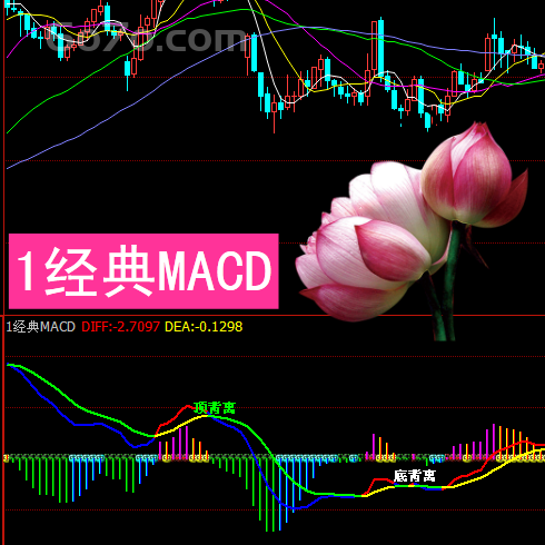 博易大师－经典MACD指标则是当前运用较为广泛的技术指标看透高手